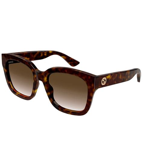 gucci asian fit cat eye powdered havana gold sunglasses|Cat.